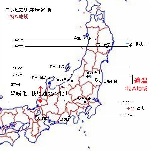 無洗米 コシヒカリ  令和５年新米 ：残留農薬ゼロ(検査証明書付) 2K 特別栽培棚田米 能登里山の米｜dotg-live｜11