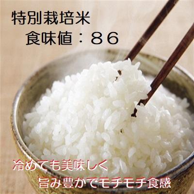 無洗米 コシヒカリ  令和５年新米 ：残留農薬ゼロ(検査証明書付) 2K 特別栽培棚田米 能登里山の米｜dotg-live｜04