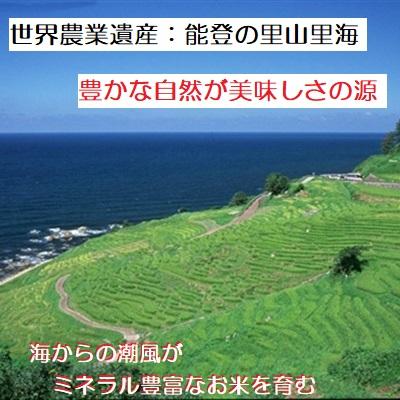 無洗米 コシヒカリ  令和５年新米 ：残留農薬ゼロ(検査証明書付) 2K 特別栽培棚田米 能登里山の米｜dotg-live｜08