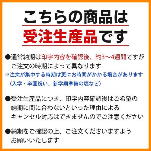 トンボ鉛筆　名入れ鉛筆　低学年用かきかたえんぴつ　三角軸　硬度2B　[No22]（ナチュラル）｜dotkae-ru02｜06