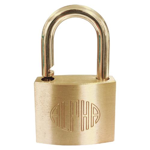 ●アルファー　南京錠　サイズ：幅２５×奥１０×高２３ｍｍ |  | 01