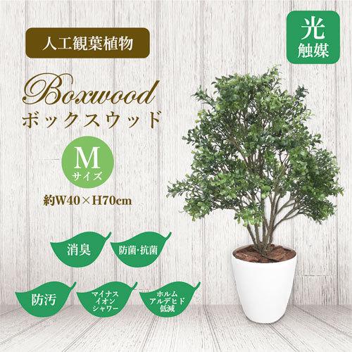 ササガワ メーカー直送品 人工観葉植物 ボックスウッド Mサイズ 高さ