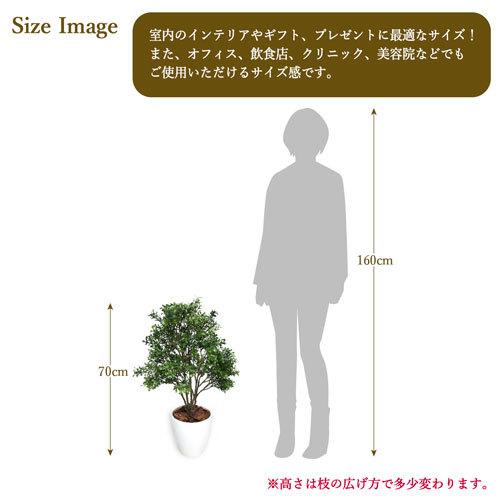 ササガワ　メーカー直送品　人工観葉植物　ボックスウッド　Ｍサイズ　高さ７０ｃｍ　フェイクグリーン　造花_5