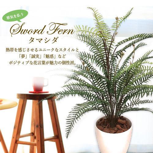 ササガワ　メーカー直送品　人工観葉植物　タマシダ　Ｍサイズ　高さ１００ｃｍ　フェイクグリーン　造花_2