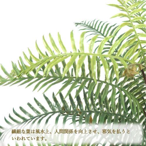 ササガワ　メーカー直送品　人工観葉植物　タマシダ　Ｍサイズ　高さ１００ｃｍ　フェイクグリーン　造花_3