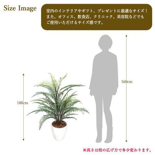 ササガワ　メーカー直送品　人工観葉植物　タマシダ　Ｍサイズ　高さ１００ｃｍ　フェイクグリーン　造花_5
