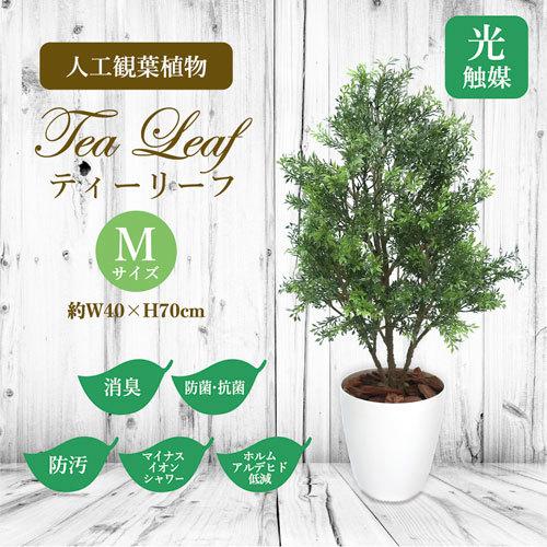 ササガワ　メーカー直送品　人工観葉植物　ティーリーフ　Ｍサイズ　高さ７０ｃｍ　フェイクグリーン　造花_1