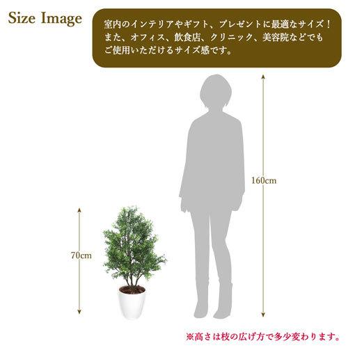 ササガワ　メーカー直送品　人工観葉植物　ティーリーフ　Ｍサイズ　高さ７０ｃｍ　フェイクグリーン　造花_5