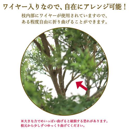 ササガワ　メーカー直送品　人工観葉植物　ティーリーフ　Ｍサイズ　高さ７０ｃｍ　フェイクグリーン　造花_6