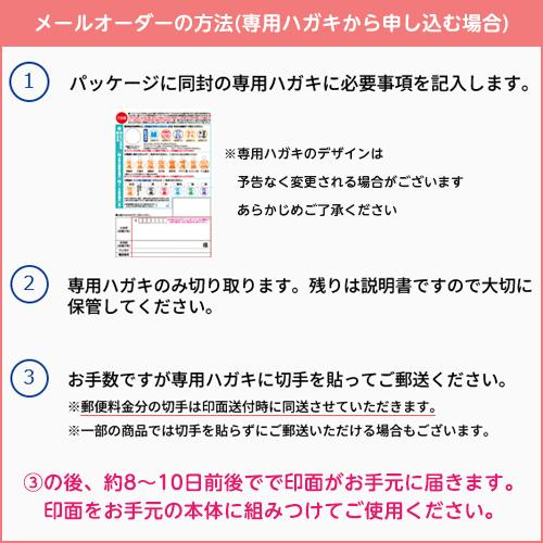 シヤチハタ　プチネーム　ネーム印　判子　メールオーダー式　MO式（ペールブルー） | シヤチハタ | 03