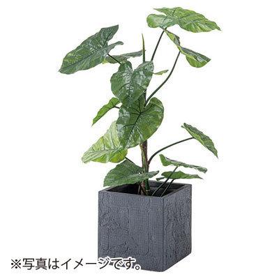 東谷　フェイクグリーン クワズイモ 観葉植物 造花 GRN-16　クワズイモ