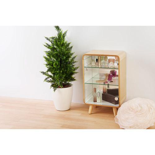 東谷 コレクションシェルフS ガラスケース 3段 背面ミラー PT-611NA