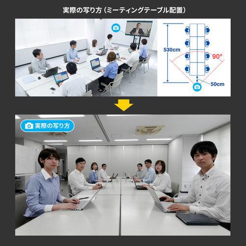 サンワサプライ　直送 会議用ワイドレンズカメラ