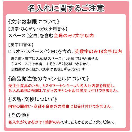 レイメイ藤井　名入れ 手帳 ダ・ヴィンチ グランデ ロロマクラシック 輪径15mm バイブル 2024年　ヌメ革（牛）（ネイビー）｜dotkae-ru｜04