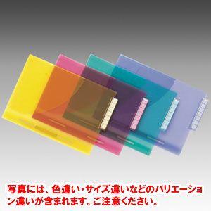 リヒトラブ　カルテフォルダー　Ａ４　イエロー