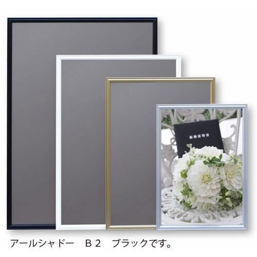 アルテ　メーカー直送品 アルミフレーム　アールシャドー　Ｂ２（ブラック）