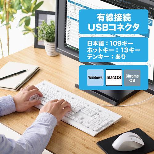 エレコム　エレコム直送　キーボード　有線　ＵＳＢ−Ａ　洗える（ＩＰＸ５）　メンブレン　テンキー付き　高耐久設計　抗菌（ホワイト）｜dotkae-ru｜02