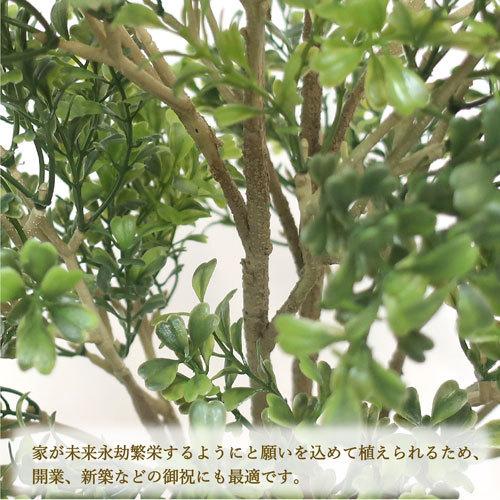 ササガワ　メーカー直送品　人工観葉植物　ボックスウッド　Ｍサイズ　高さ７０ｃｍ　フェイクグリーン　造花_3