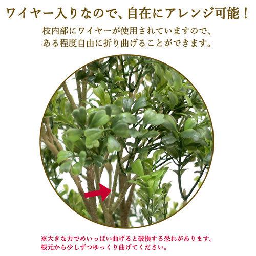 ササガワ　メーカー直送品　人工観葉植物　ボックスウッド　Ｍサイズ　高さ７０ｃｍ　フェイクグリーン　造花_6