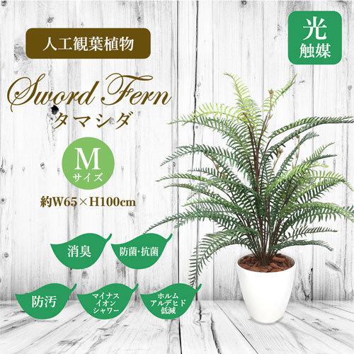 ササガワ　メーカー直送品　人工観葉植物　タマシダ　Ｍサイズ　高さ１００ｃｍ　フェイクグリーン　造花_1