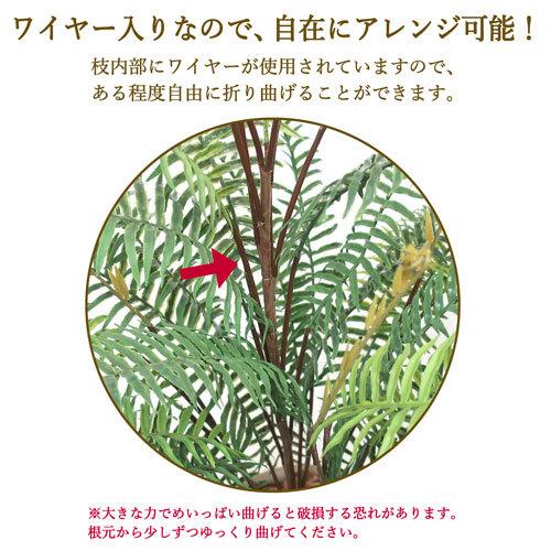 ササガワ　メーカー直送品　人工観葉植物　タマシダ　Ｍサイズ　高さ１００ｃｍ　フェイクグリーン　造花_6