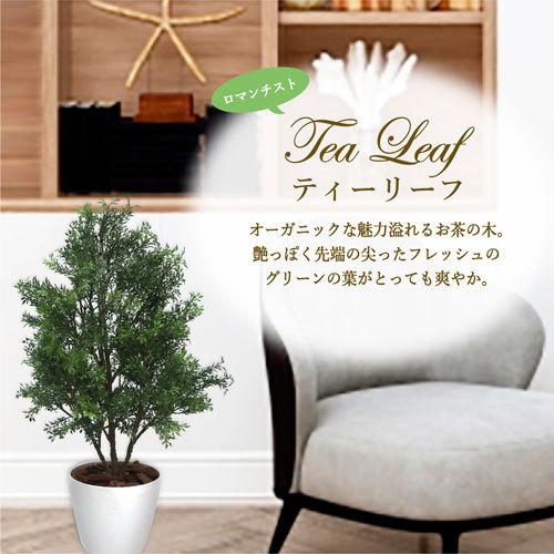 ササガワ　メーカー直送品　人工観葉植物　ティーリーフ　Ｍサイズ　高さ７０ｃｍ　フェイクグリーン　造花_2