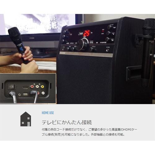 太知ホールディングス　ＤＶＤカラオケシステム_3
