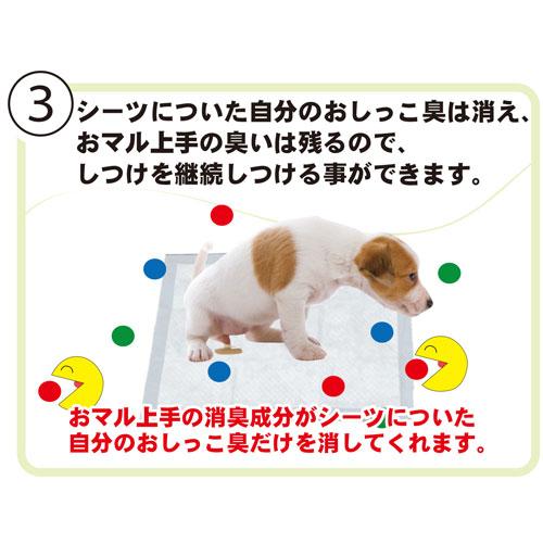 トーラス　愛犬愛猫用おマル上手　１００ｍｌ　ペット用品｜dotkae-ru｜04