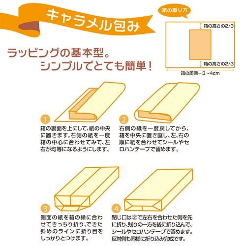 ササガワ 包装紙 チェック柄 50枚 全判 タータンチェック 青 : どっと