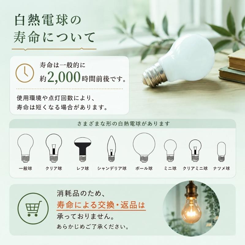 ミニレフ球 フロスト(ホワイト) KR R50E17100110V45W（11001）白熱電球