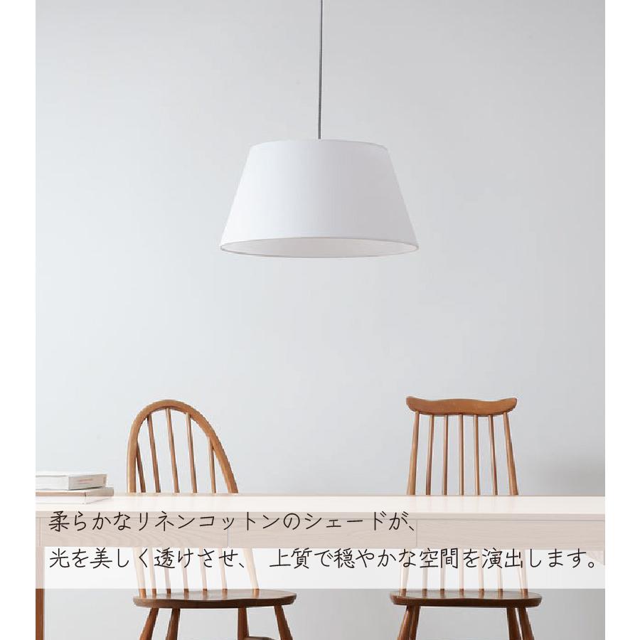 ARTWORKSTUDIO（アートワークスタジオ） ペンダントライト 照明