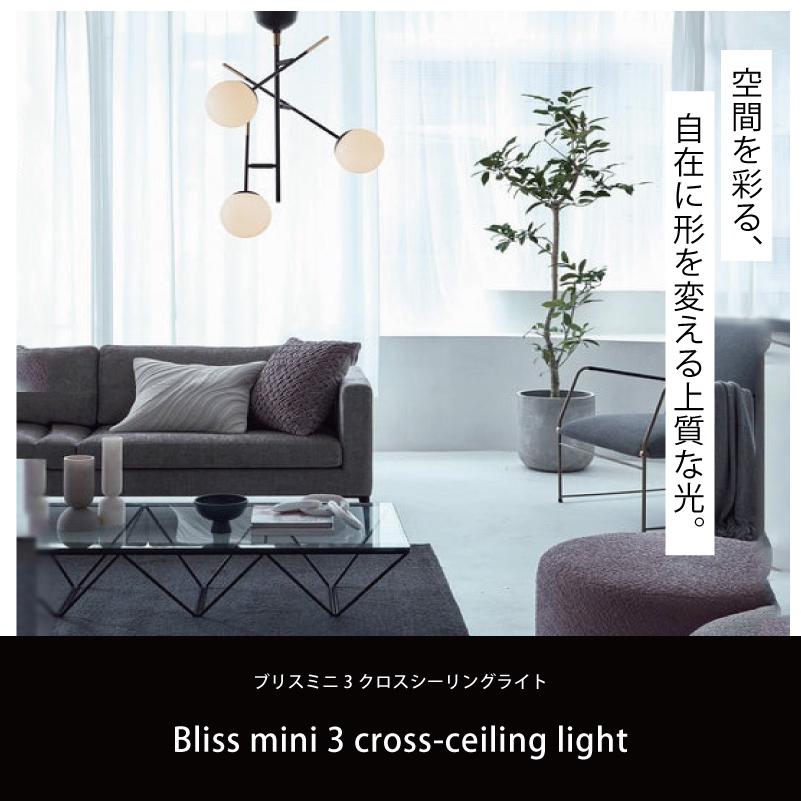 ARTWORKSTUDIO（アートワークスタジオ） シーリングライトガラス 照明