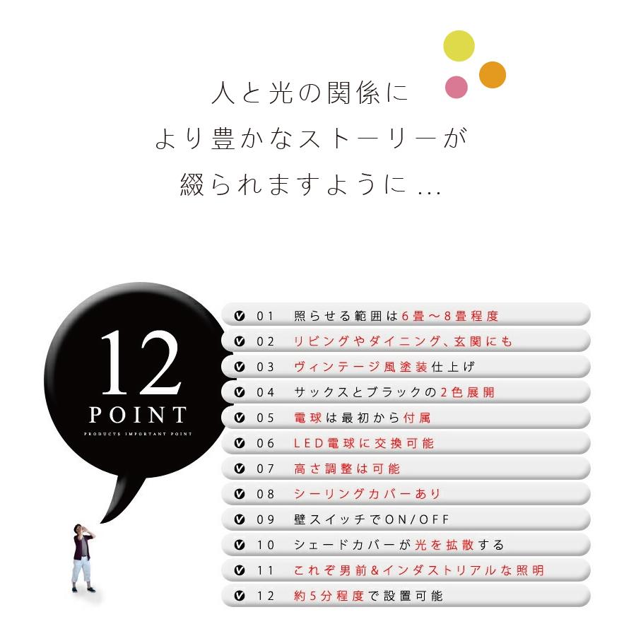 ペンダントライト HUNT LAMP CM-002 おしゃれ 照明 ダイニング 爆買 | HERMOSA | 19