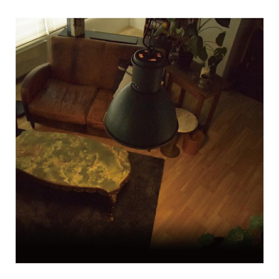 ペンダントライト HUNT LAMP CM-002 おしゃれ 照明 ダイニング 爆買 | HERMOSA | 08