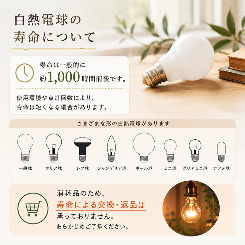 白熱電球 ホワイト E26 40W （10001） LW100V-38W/55 白熱球 普通電球