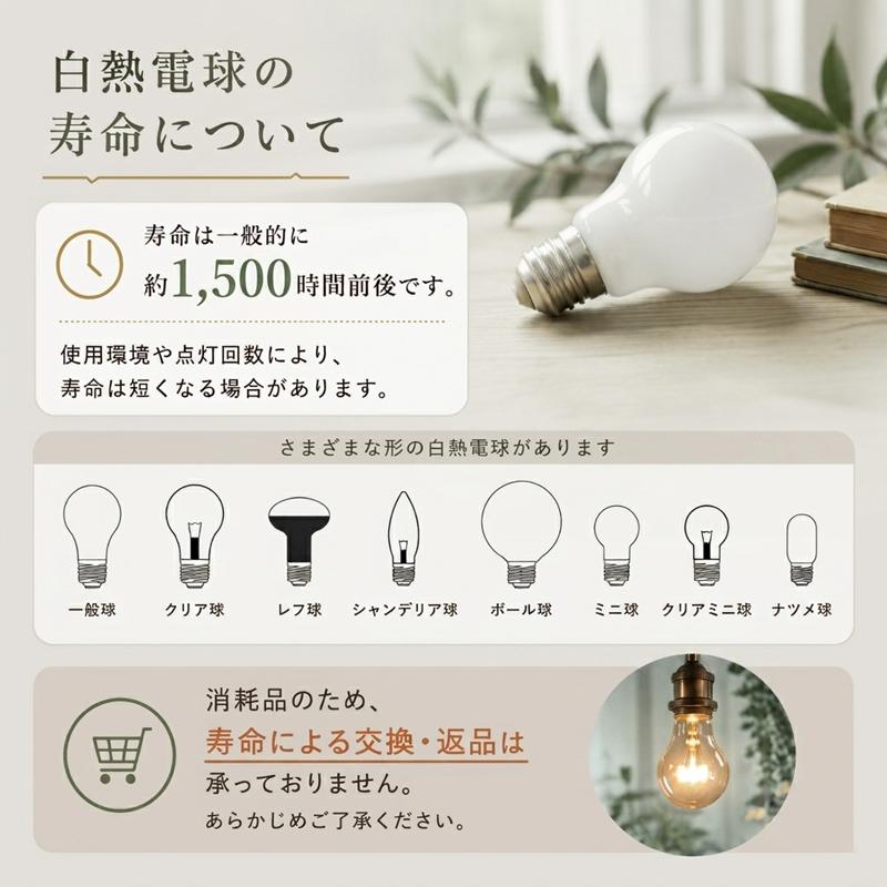 白熱シャンデリア球 E17 40W （11902） C32 100/110-40W(C) クリアー 