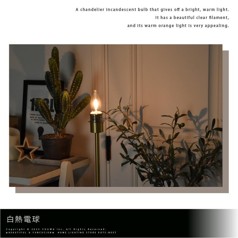 白熱 シャンデリア球 E26 40W （11920）C37 E26 100/110V-40W アサヒ 旭光電機 ASAHI LAMP 在庫  爆買 | ブランド登録なし | 05