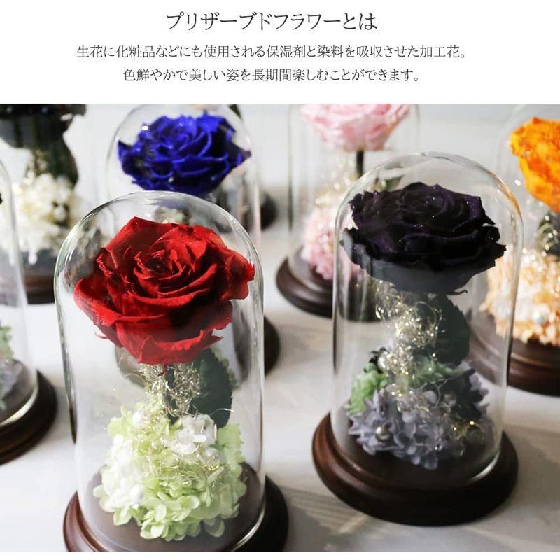 Makefuture プリンセスフルール プリザーブドフラワー ガラスドーム バラ 美女と野獣 プロポーズ ブライトレッド プリンセスフルール ブライトレッド プリザーブドフラワー ガラスドーム バラ 美女と野獣 プロポーズ サイズ