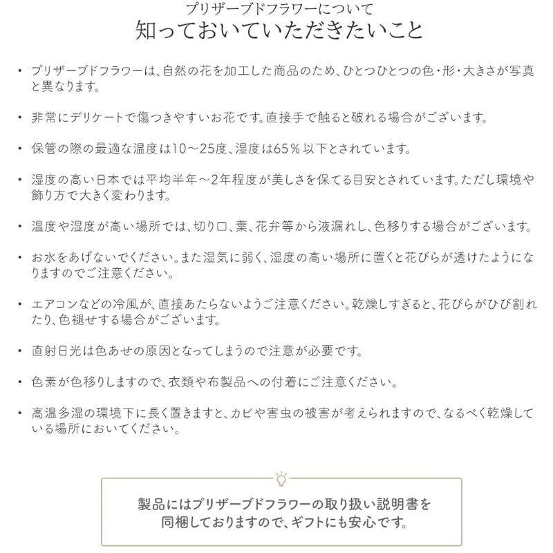 Makefuture プリンセスフルール プリザーブドフラワー ガラスドーム バラ 美女と野獣 プロポーズ ブライトレッド プリンセスフルール ブライトレッド プリザーブドフラワー ガラスドーム バラ 美女と野獣 プロポーズ サイズ