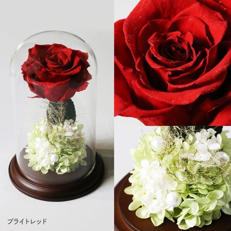 Makefuture プリンセスフルール プリザーブドフラワー ガラスドーム バラ 美女と野獣 プロポーズ ブライトレッド プリンセスフルール ブライトレッド プリザーブドフラワー ガラスドーム バラ 美女と野獣 プロポーズ サイズ