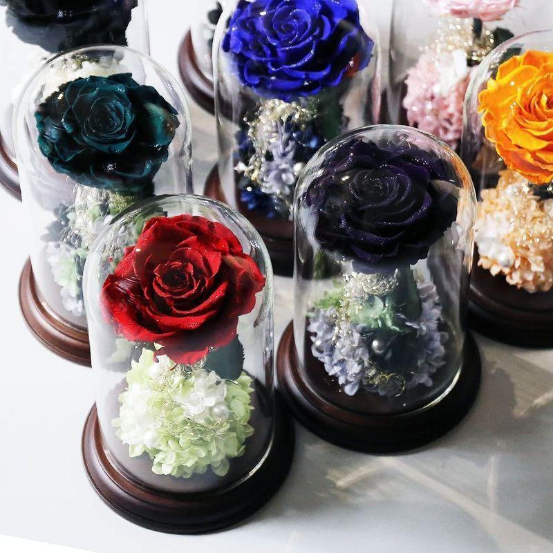 Makefuture プリンセスフルール プリザーブドフラワー ガラスドーム バラ 美女と野獣 プロポーズ ブライトレッド プリンセスフルール ブライトレッド プリザーブドフラワー ガラスドーム バラ 美女と野獣 プロポーズ サイズ