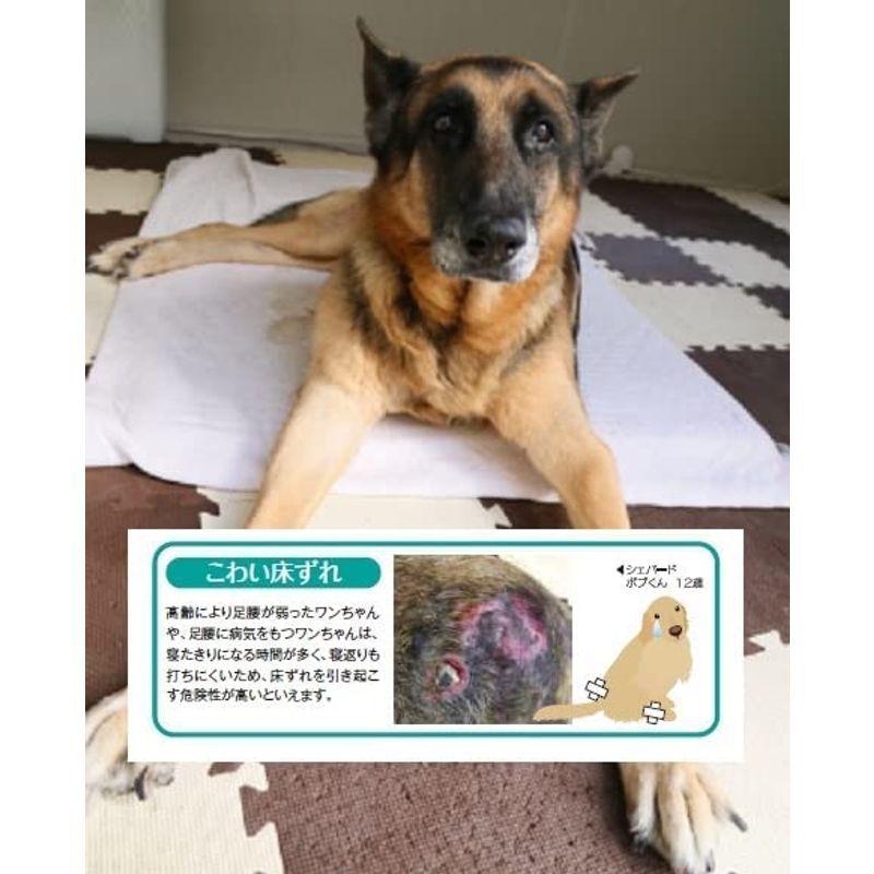 芦屋バティーズ 床ずれ防止マット ホームナース M 小型犬 中型犬 (体圧分散型マット 疲れない 快適な睡眠 通気性バッグン 通年用) 床ずれ防止マット ホームナース 小型犬 中型犬 体圧分散型マット 疲れない 快適な睡眠 通気性バッグン 通年用 サイズ
