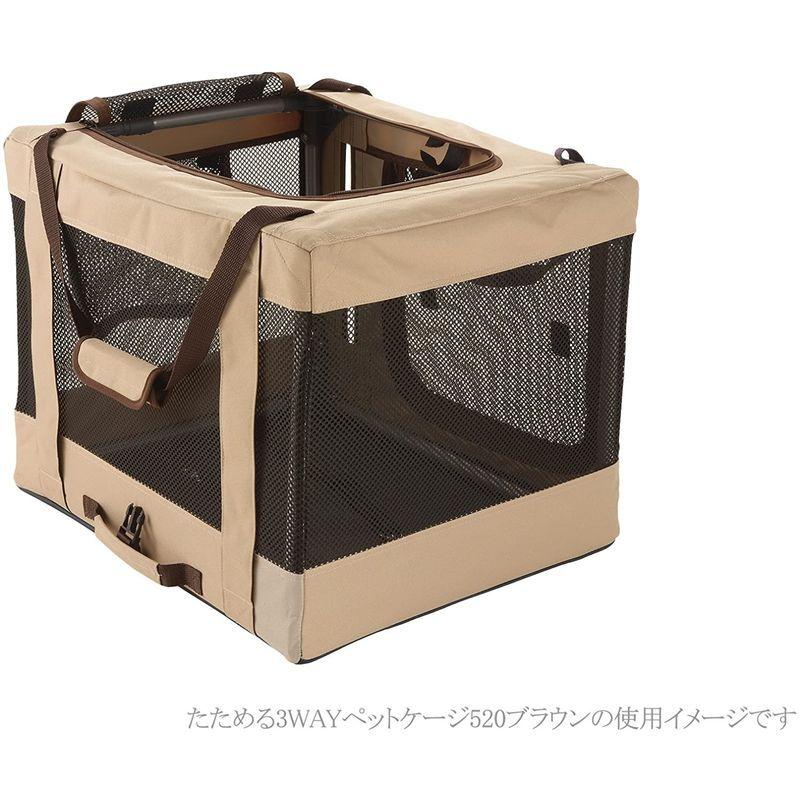 dotto-come_20220516200348-00768_3