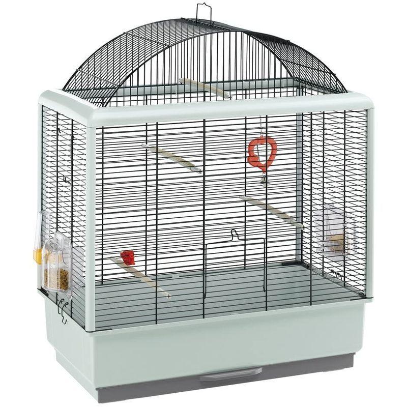 ファープラスト 鳥類 鳥類