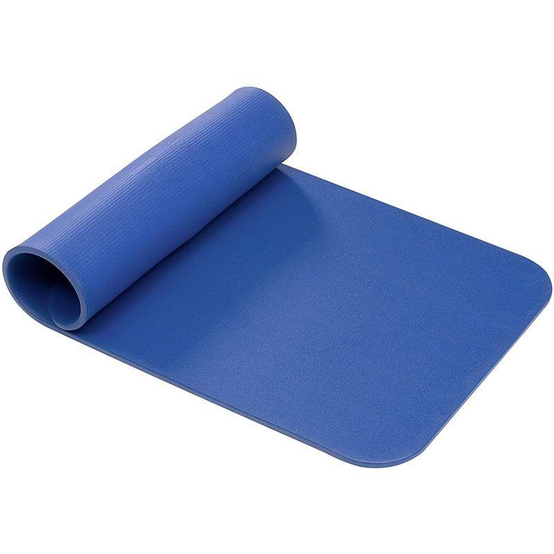 AIREX(エアレックス) トレーニングマット フィットネス120 厚さ15mm ブルー FITNESSBL BLUE 120 FITNES ブルー エアレックス トレーニングマット フィットネス120 厚さ15mm FITNESSBL BLUE