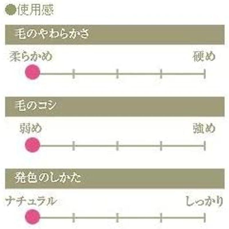 CHIKUHODO 熊野筆(化粧筆) 竹宝堂 パウダーブラシ 灰リス G-9 メイクブラシ 熊野筆 化粧筆 竹宝堂 パウダーブラシ 灰リス メイクブラシ サイズ