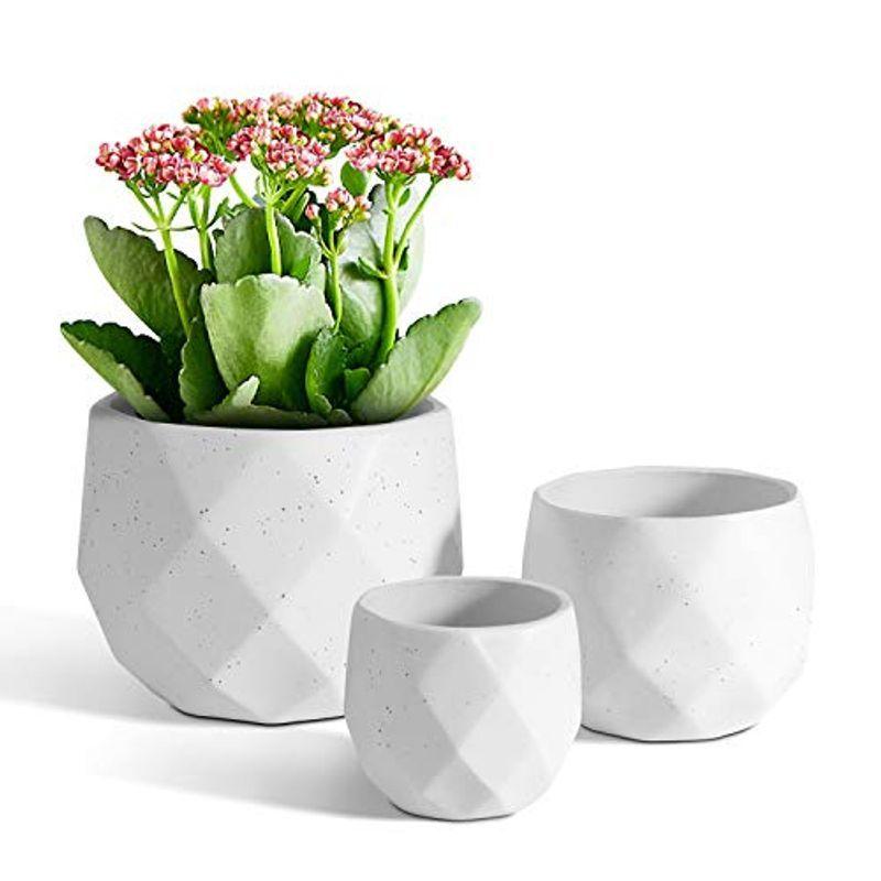 T4u 12cm 9cm 6 5cm 植木鉢 おしゃれ 観葉植物鉢 多肉植物 プランター サボテン鉢 陶器製 マット ホワイト3点入り 母の Avsukpqfzu 花 ガーデニング Editorialdismes Com