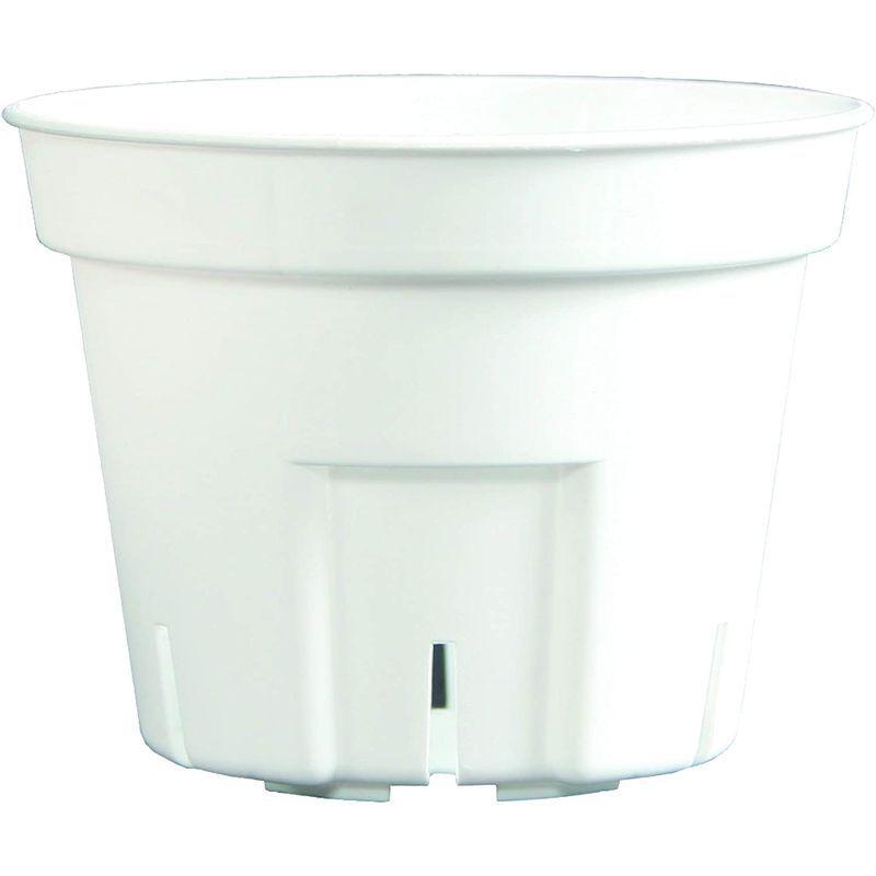 日本ポリ鉢販売(Japan Porihachi Hanbai) ポリ鉢 Sポット丸型603000鉢入 NI-101 白 3000入 Japan Porihachi Hanbai ポリ鉢 NI 3000入