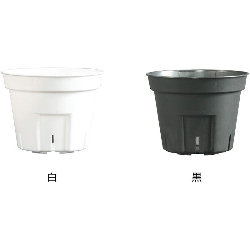 日本ポリ鉢販売(Japan Porihachi Hanbai) ポリ鉢 Sポット丸型603000鉢入 NI-101 白 3000入 Japan Porihachi Hanbai ポリ鉢 NI 3000入