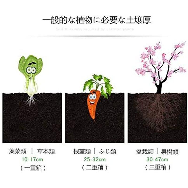 Aeon hum 組立式ガーデンボックス プランターボックス プラスチック 園芸 鉢植え入れ 花、植物、野菜栽培 自由組立 滑車付け ブラウ hum 組立式ガーデンボックス プランターボックス プラスチック 園芸 鉢植え入れ 植物 野菜栽培 自由組立 滑車付け